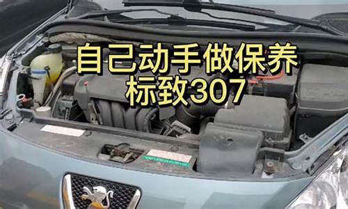 307汽车保养_307的保养灯怎么消除