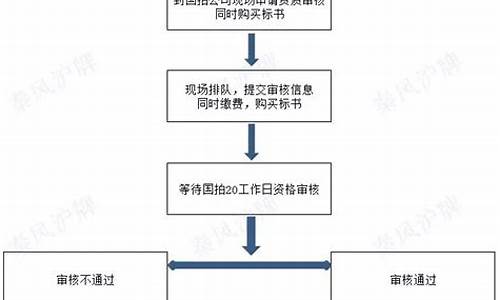 上海沪牌拍牌流程_2020上海沪牌拍牌流程